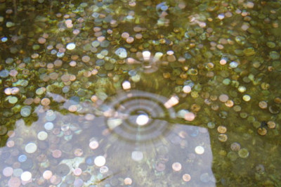 С народными приметами не поспоришь