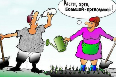 Теща с ароматом хрена