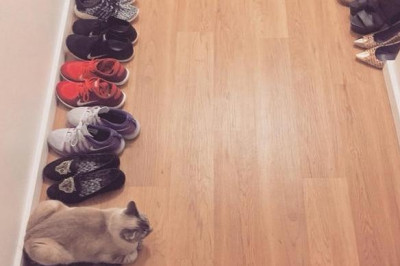 Место всё же выбрано 