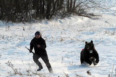 Охота на диких животных