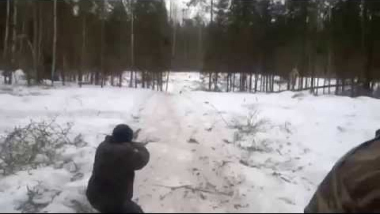 Охота на дикого кабана