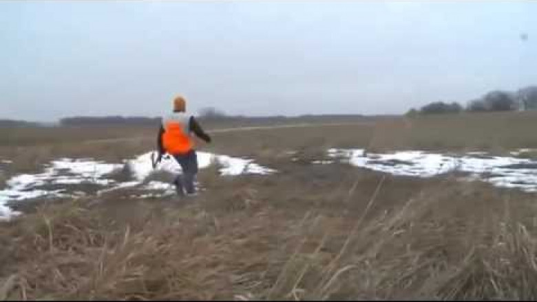 Охота на фазана с луком