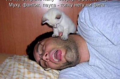 Охраняя сладкий храп папы