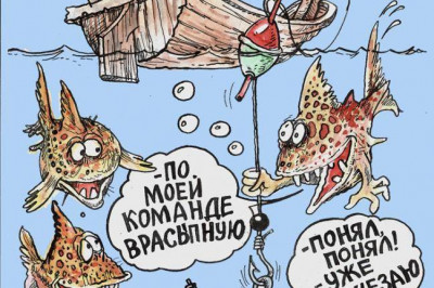 Рыбки устроили заговор