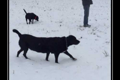 Где-то в Чернобыле