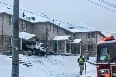 Просится погреться 