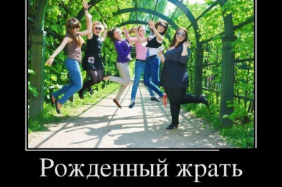 Жрать или не жрать?