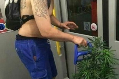 Голландские дачники