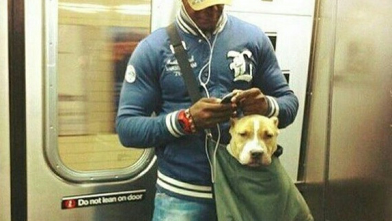  Компактное средство защиты от хулиганов.