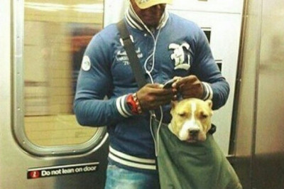  Компактное средство защиты от хулиганов.