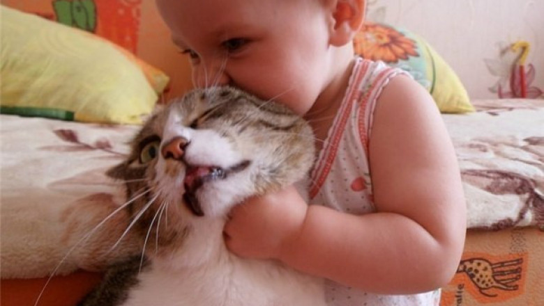 Встреча после долгой разлуки