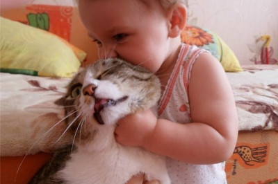 Встреча после долгой разлуки