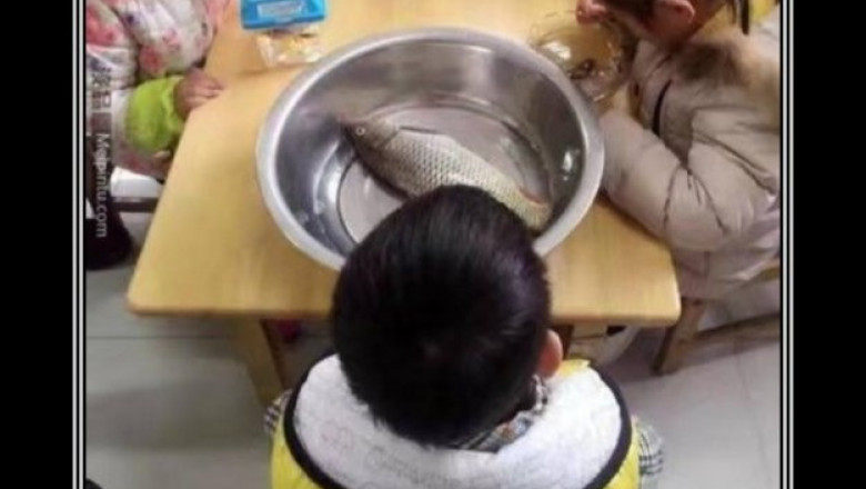 Непредвиденная ситуация во время урока