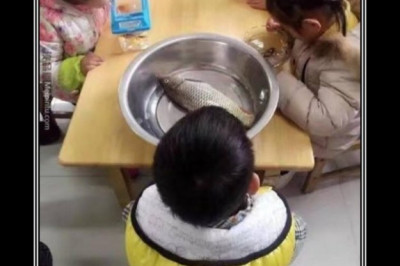 Непредвиденная ситуация во время урока