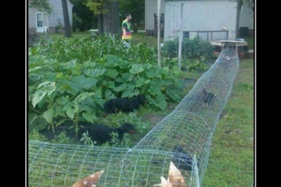 Объекты строгого режима