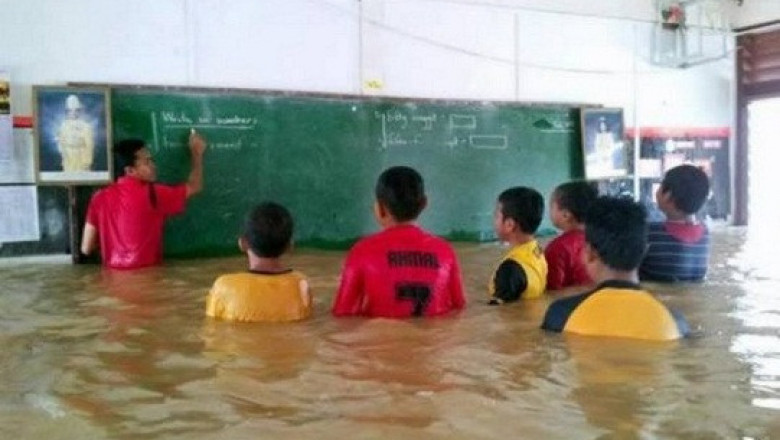 Школьный урок состоится в любую погоду