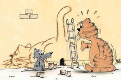 Веселое времяпрепровождение для всей семьи