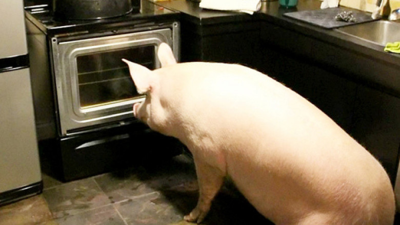 Фильм ужасов