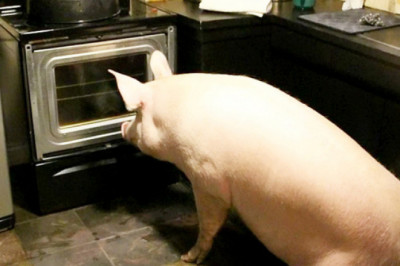 Фильм ужасов