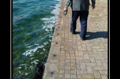 Герасим выгуливает питомца