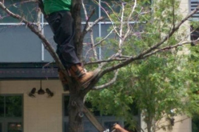 Как стать инвалидом 