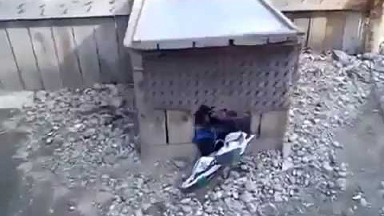 Вася, чё ты там делаешь ?