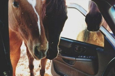 Чёткие автоприколы 