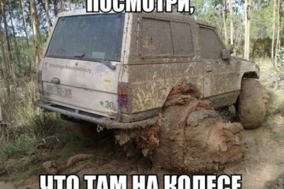 Любители бездорожья 