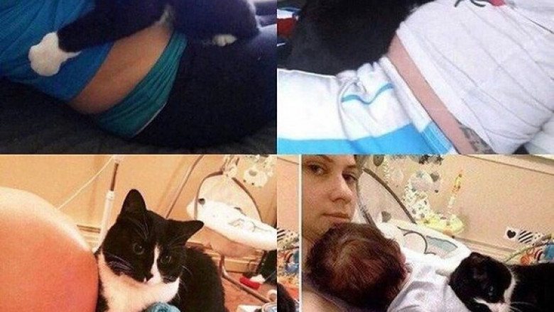 Преданность 