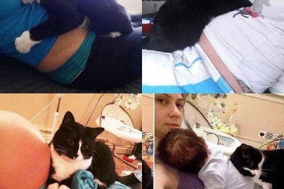 Преданность 