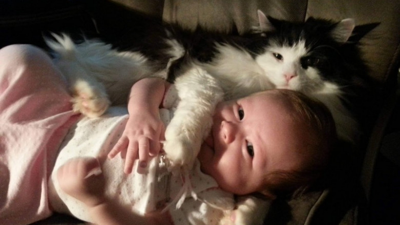 С добрым утром !!!