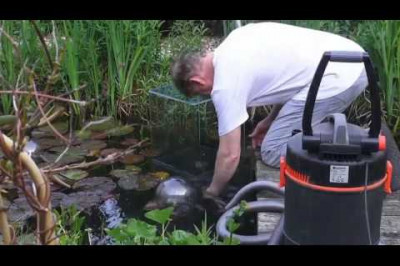 Аквариум наоборот 