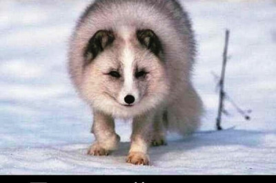 Из практики психолога