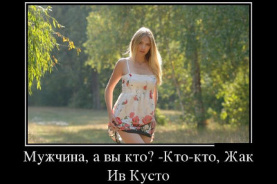 Подводный мир Кусто