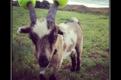 Безопасность прежде всего