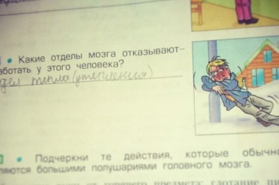Маразмы нынешних учебников 