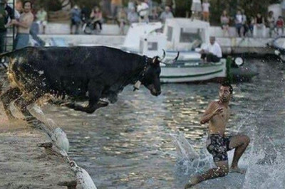 Остановленное  мгновение 