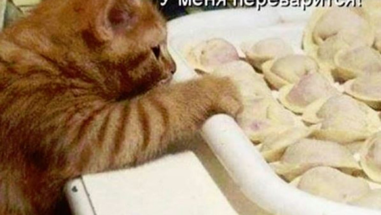 Вкусные пельмени