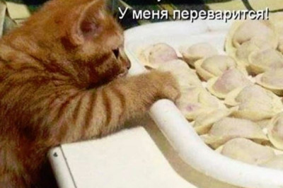 Вкусные пельмени