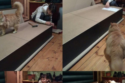 И зачем нам эти мужики ?!...