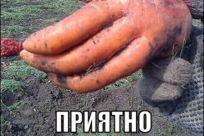 Импровизация с овощами