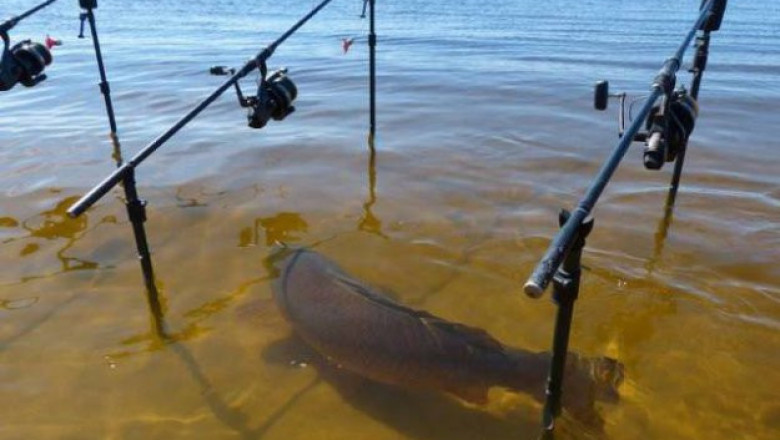 Из жизни рыбаков