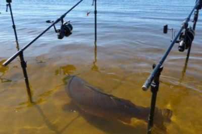 Из жизни рыбаков