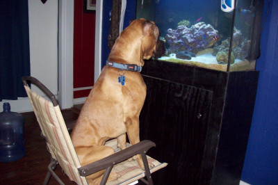 Интерактивный телевизор