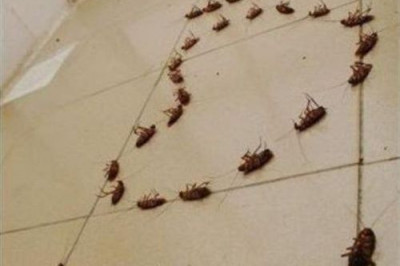 Интересные обои в общежитии