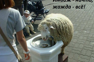 Когда имидж - ничто