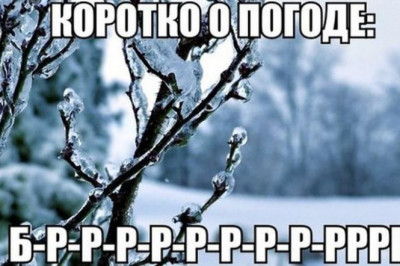 Синоптик на каждый день