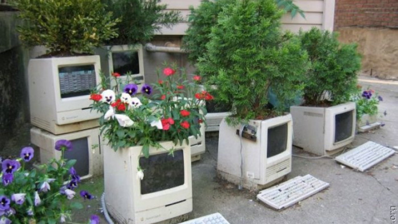 Живой уголок сисадмина