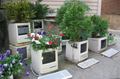 Живой уголок сисадмина