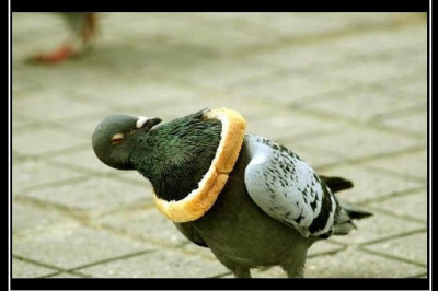 Атрибут достатка